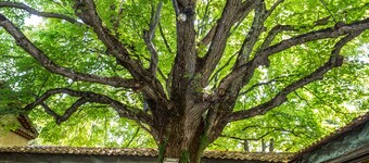 Le Mas d'Entremont