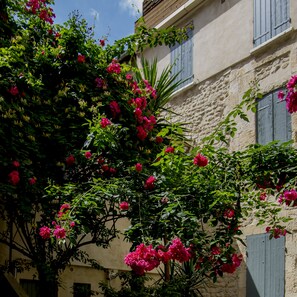 Garden - Du Musée (Arles)