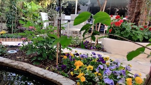 A garden with a small pond, various plants, and outdoor furniture. - Logis Hotel Les Bleuets (Royan)
