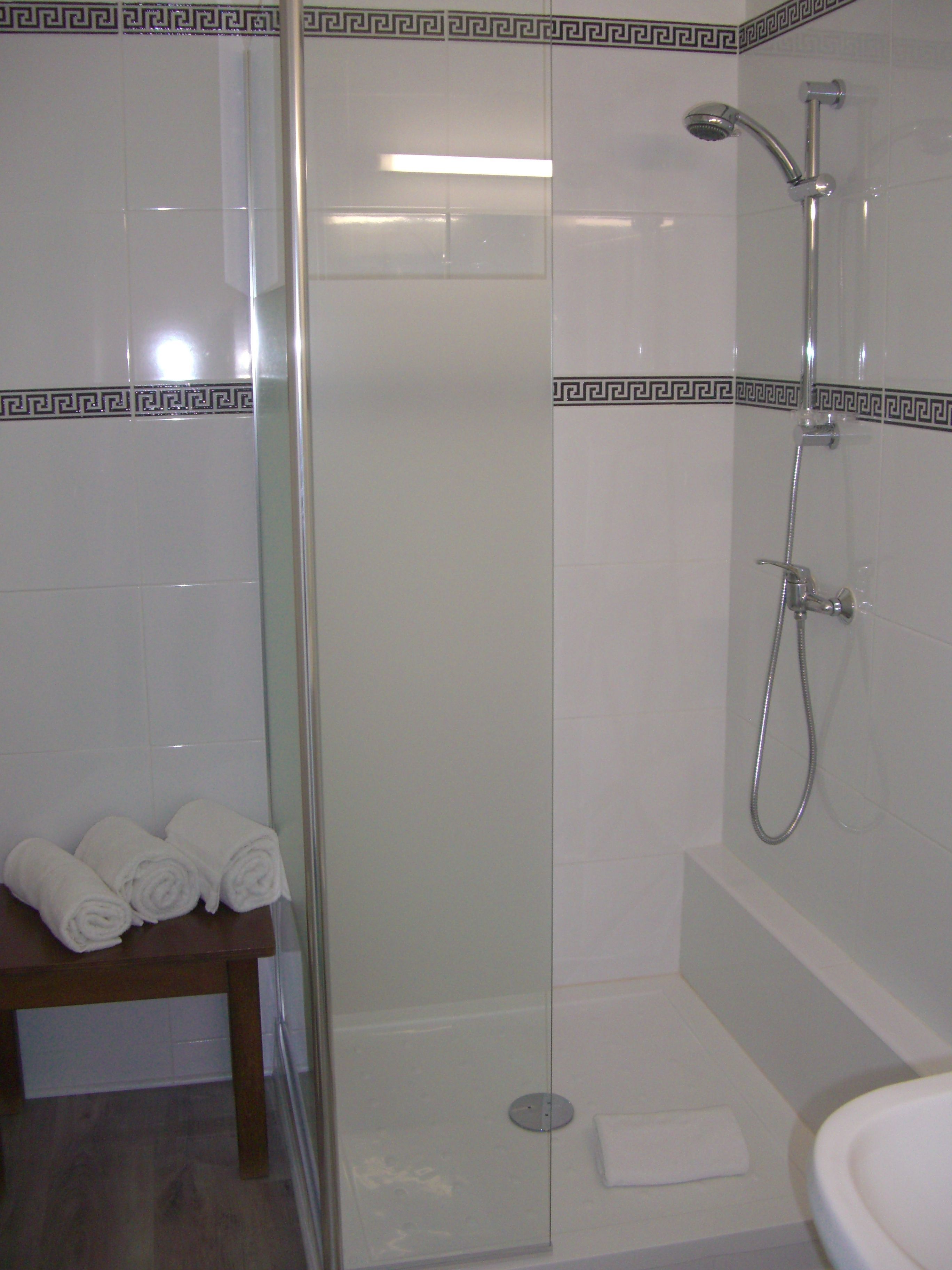 A glass-enclosed shower area with a handheld showerhead and a handheld showerhead.
