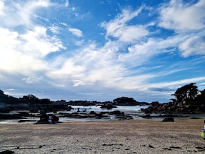 Plage, bar de plage