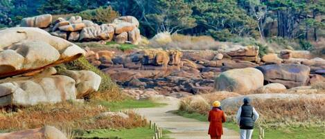 A pathway through a natural landscape with large boulders and trees in the background.