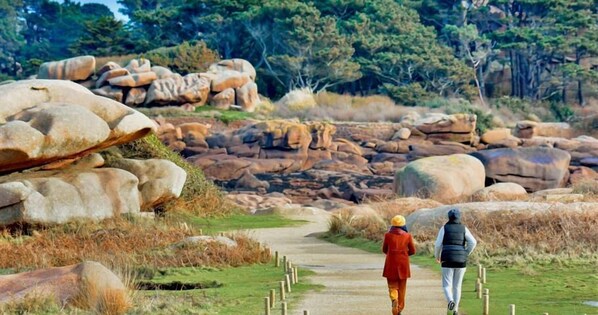 Un sendero serpentea por un paisaje natural con grandes rocas y árboles al fondo.