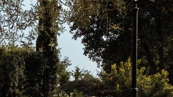 A garden with a pathway, a lamppost, and a sign with the text "N7".