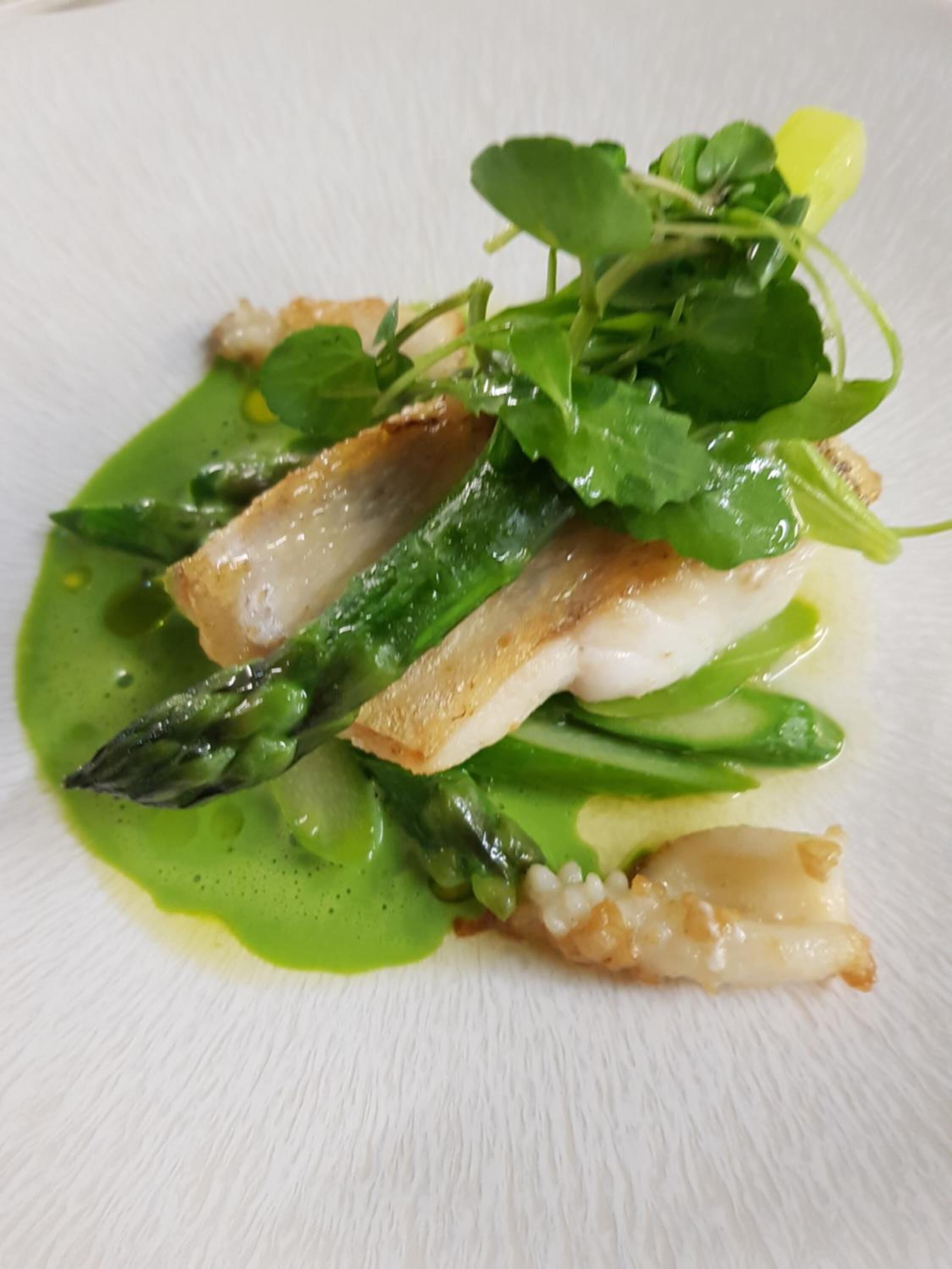 Prato com aspargos, vegetais verdes e molho cremoso.