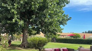 Un patio con mobiliario de mimbre y un árbol grande que da sombra.