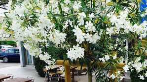 Un espace extérieur aménagé avec des tables en bois et des chaises en métal, entouré de plantes à fleurs blanches.