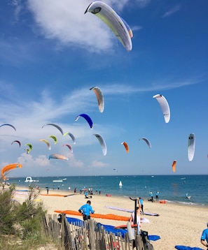 Ein Strand mit mehreren schwebenden Drachen, einer sandigen Küste und dem Meer im Hintergrund.