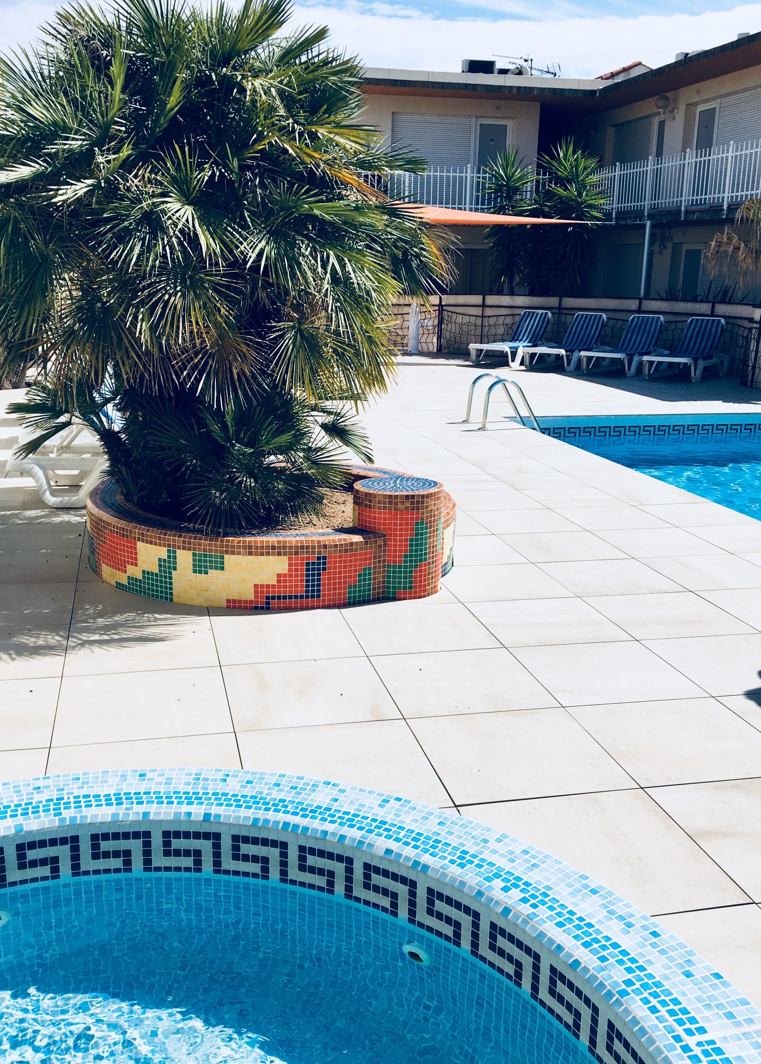 A swimming pool with mosaic tiles, a palm tree, and lounge chairs.
