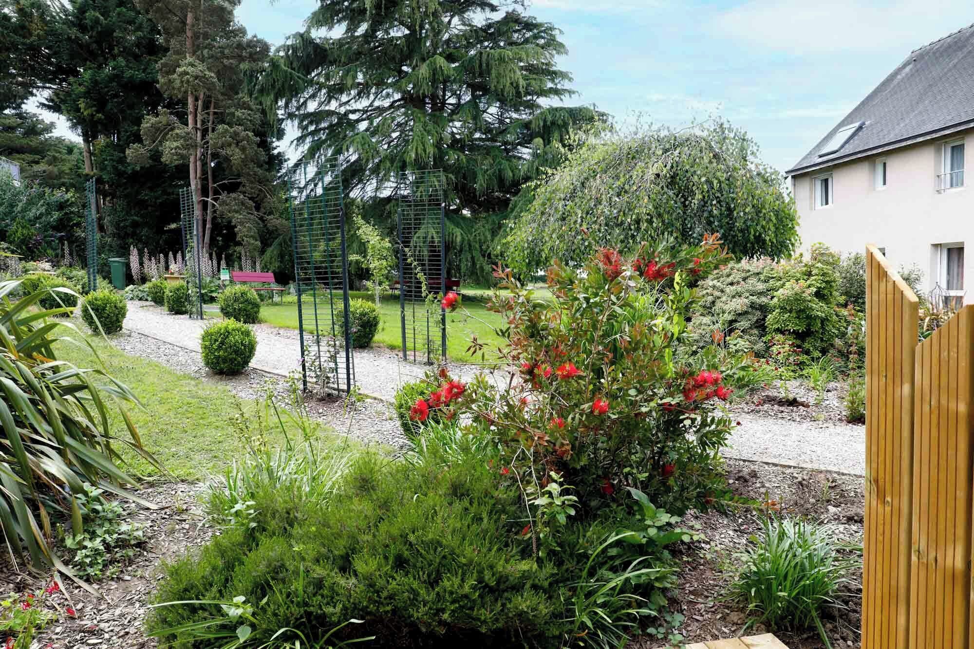 Un jardín con diversas plantas y una valla de madera.