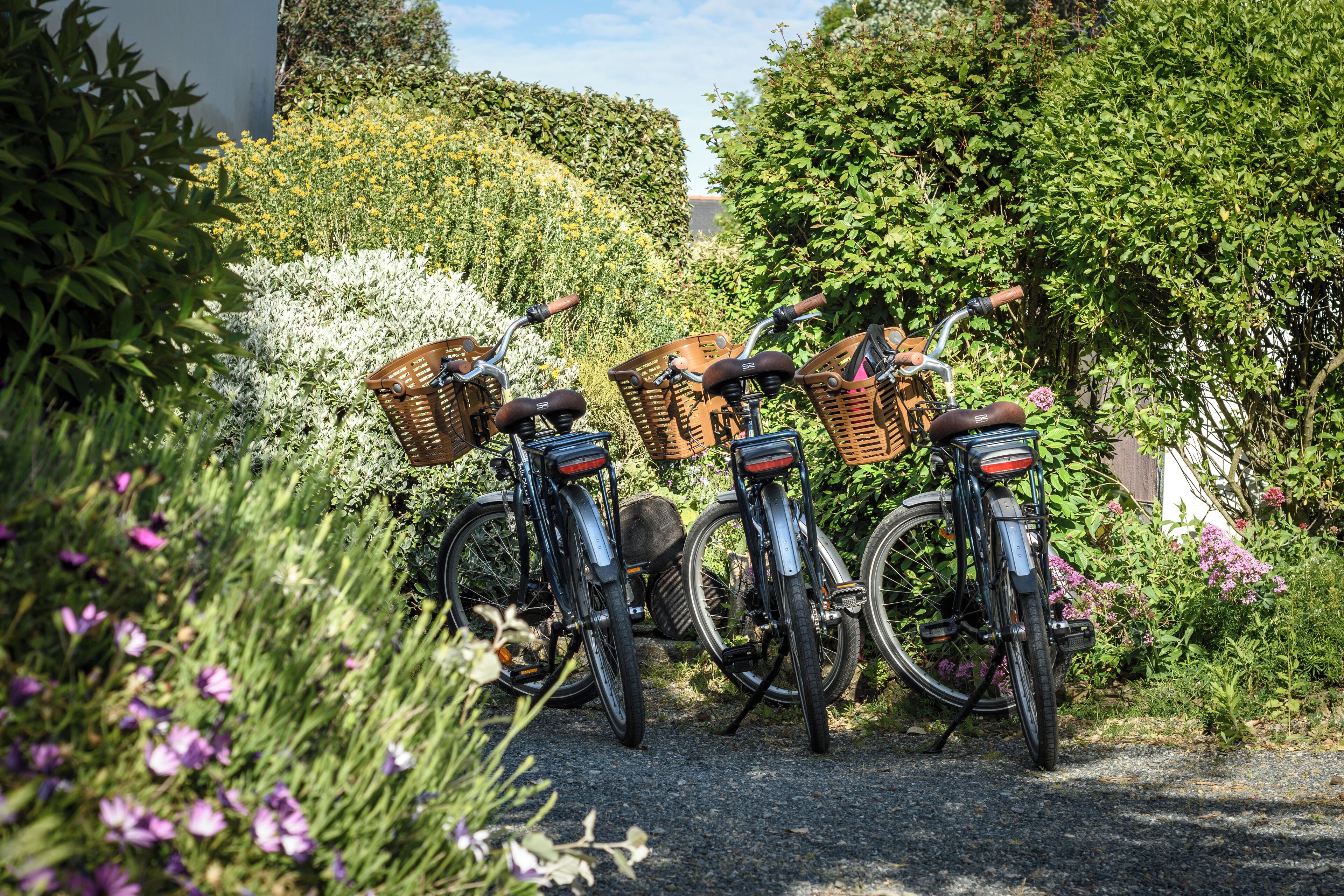 Drie fietsen met mandjes staan geparkeerd op een grindpad, omgeven door weelderige begroeiing en bloeiende planten.