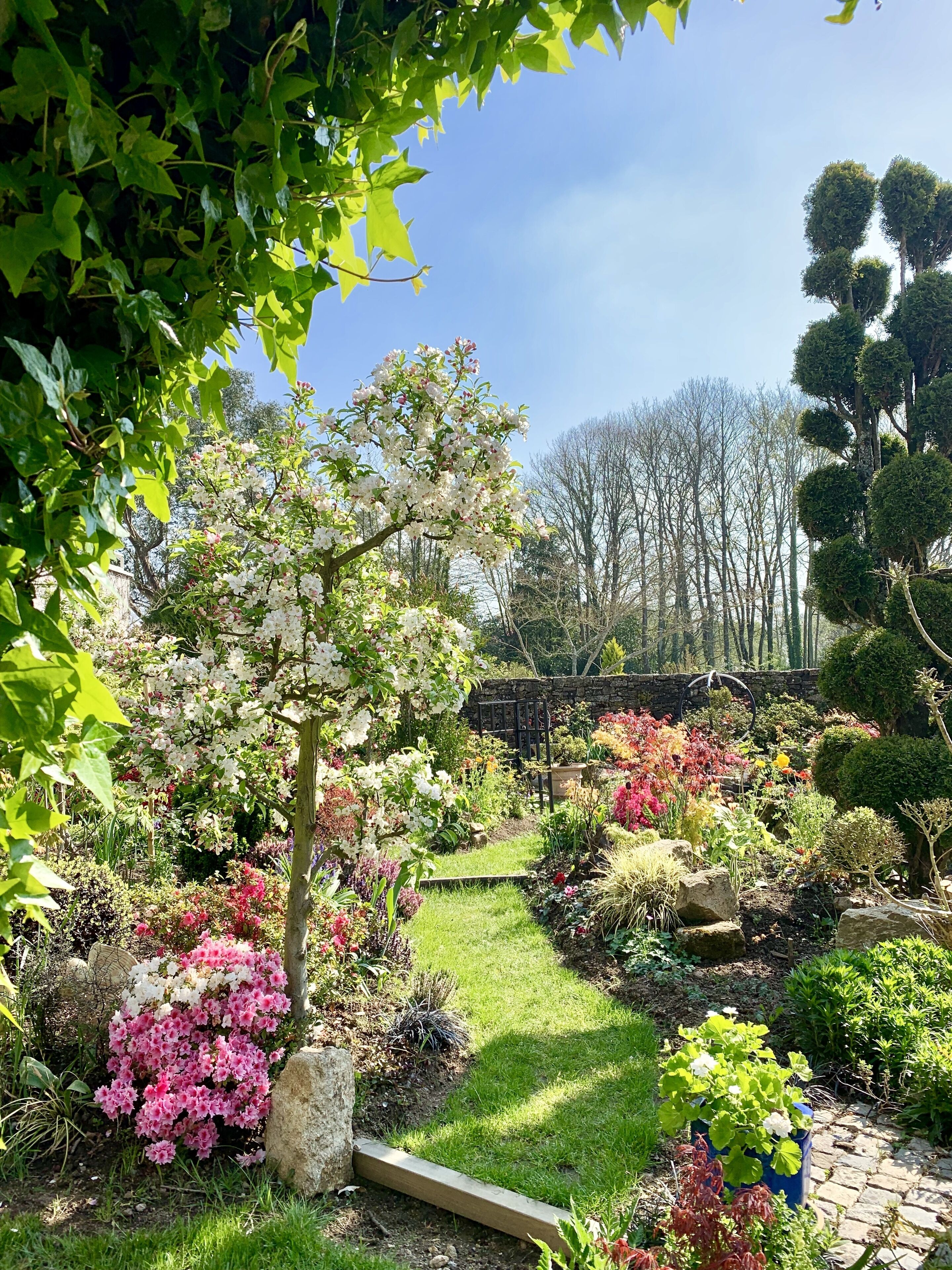 Jardin