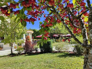 Appartement Panoramique, vue montagne | Vue sur le jardin