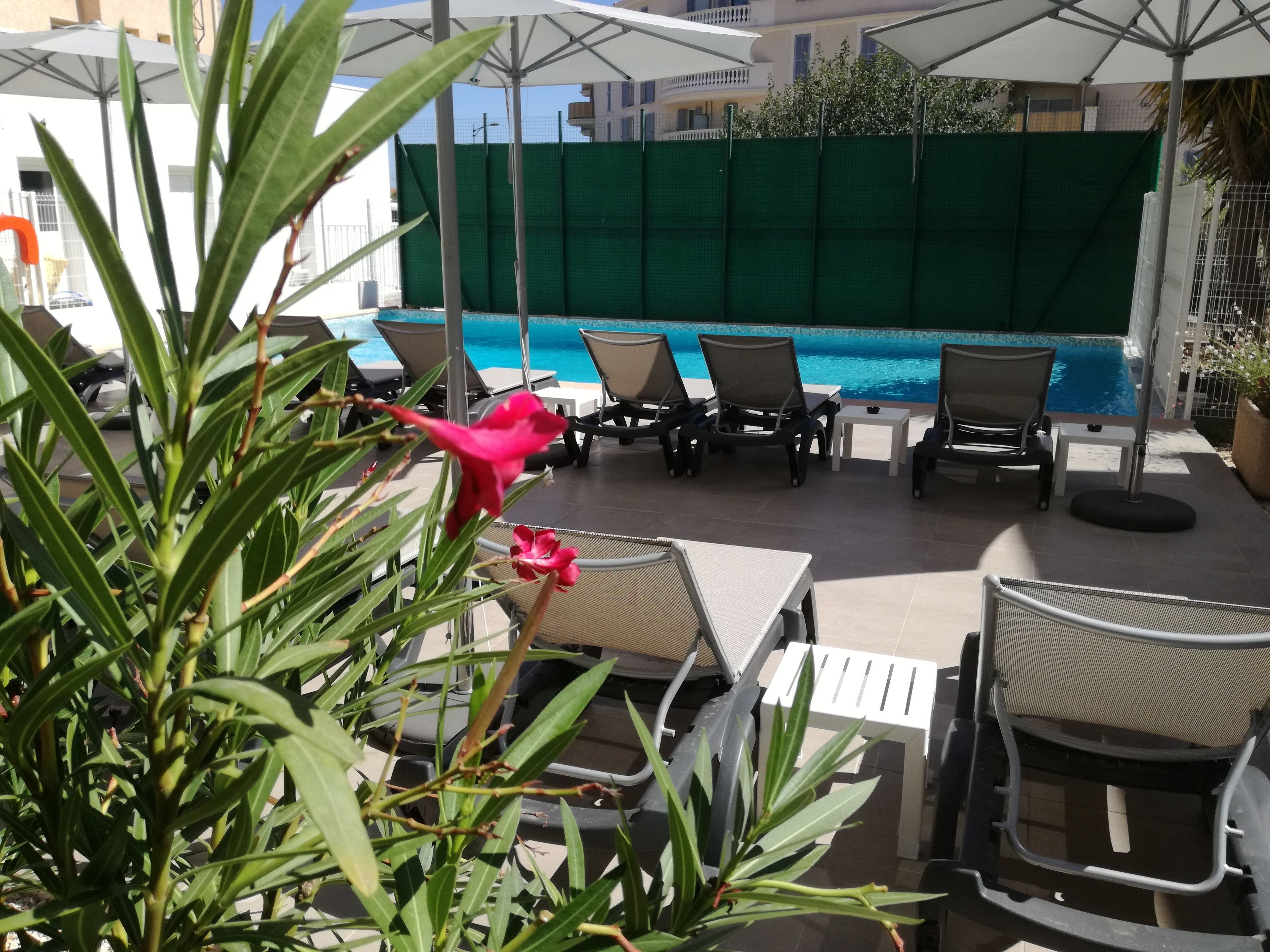 A poolside area with lounge chairs and umbrellas, a green fence, and a view of a swimming pool.