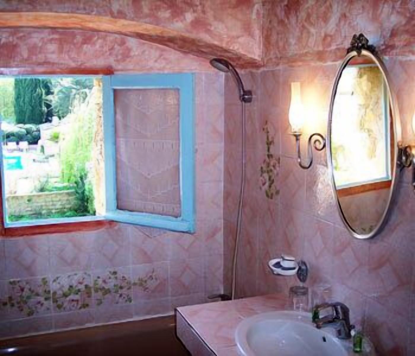 Une salle de bain avec un lavabo, un miroir et une douche.