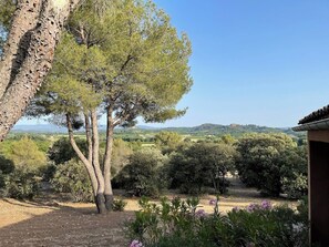 Deluxe-Suite, 1 Schlafzimmer, Terrasse, Talblick | Ausblick vom Zimmer