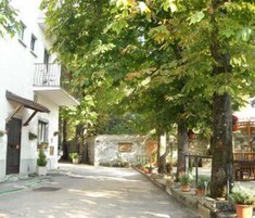 Una stretta via fiancheggiata da alberi e edifici, con un muro in pietra e piante in vaso.