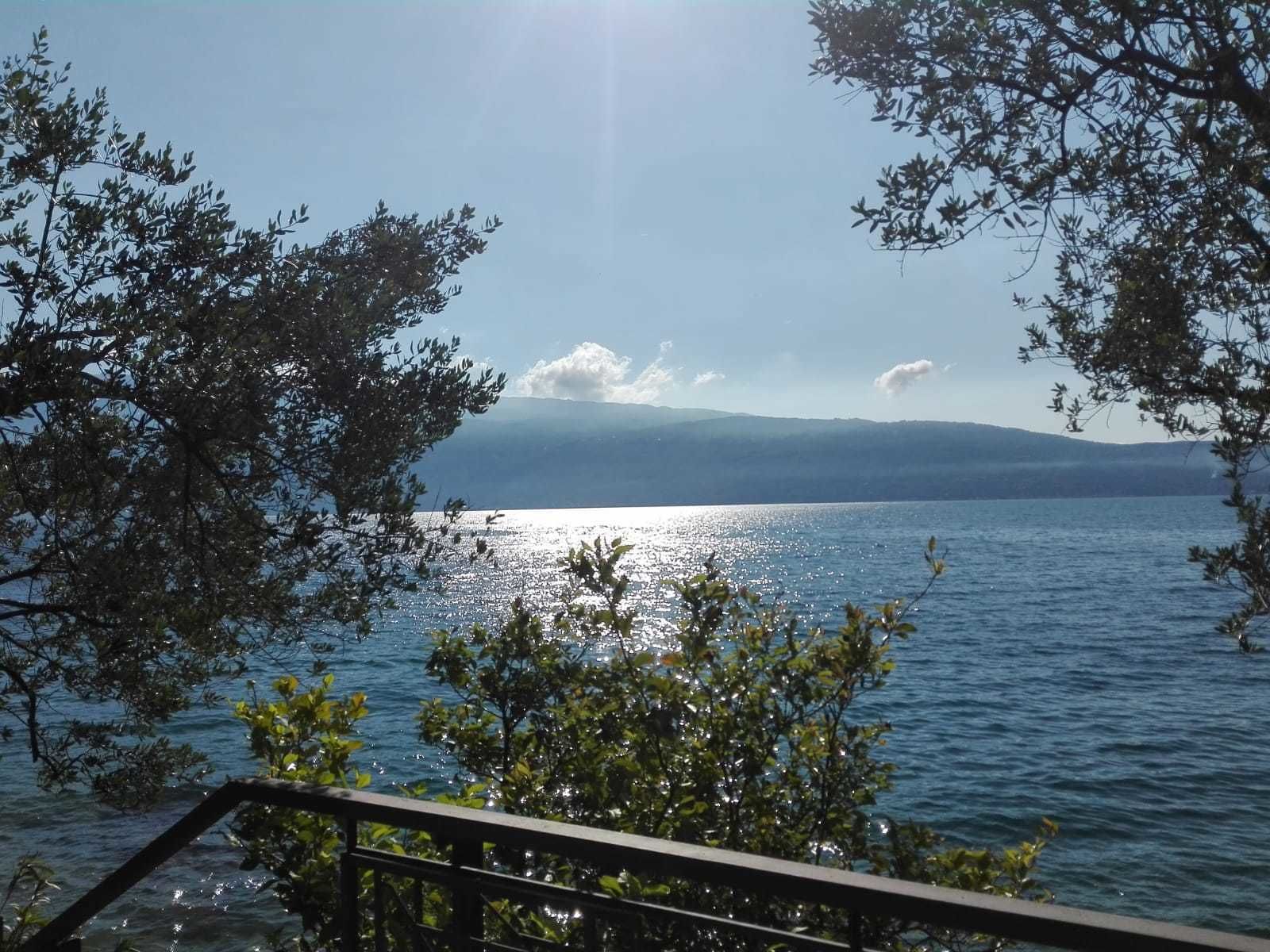A view of a lake with mountains in the background, framed by trees.