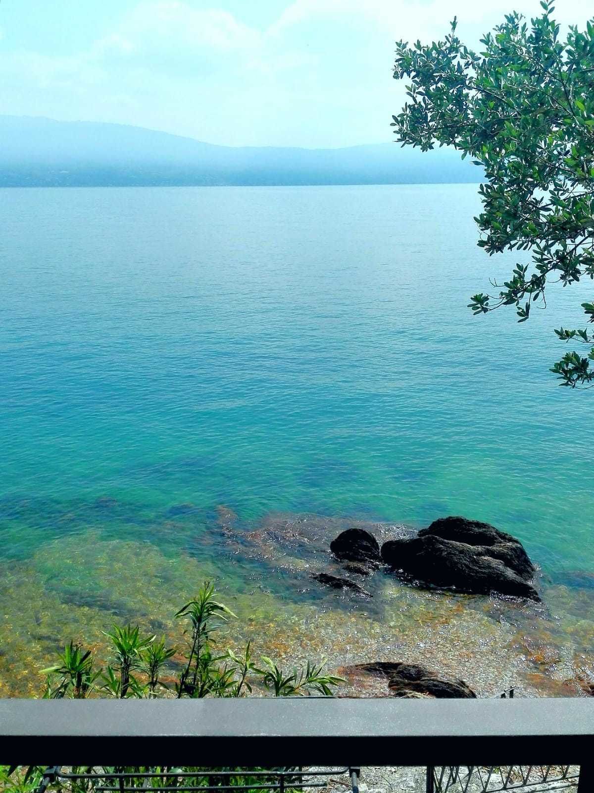 A clear view of a calm lake with visible rocks and greenery at the shore.