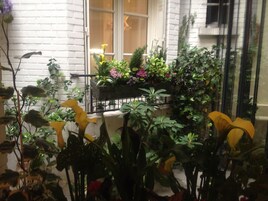 Un balcón con macetas y flores variadas, un muro de ladrillo blanco y una ventana con persianas.