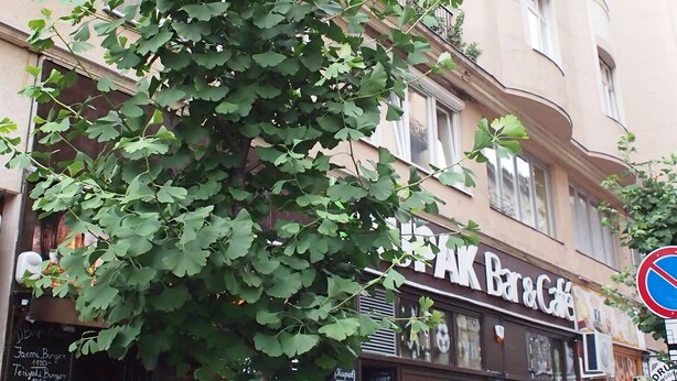 A building with a storefront labeled "Bar & Café" and a menu board outside. - Budapest Royal Suites II (Budapest)