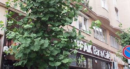 Budapest Royal Suites II