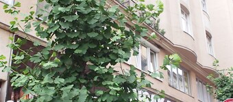 Budapest Royal Suites II