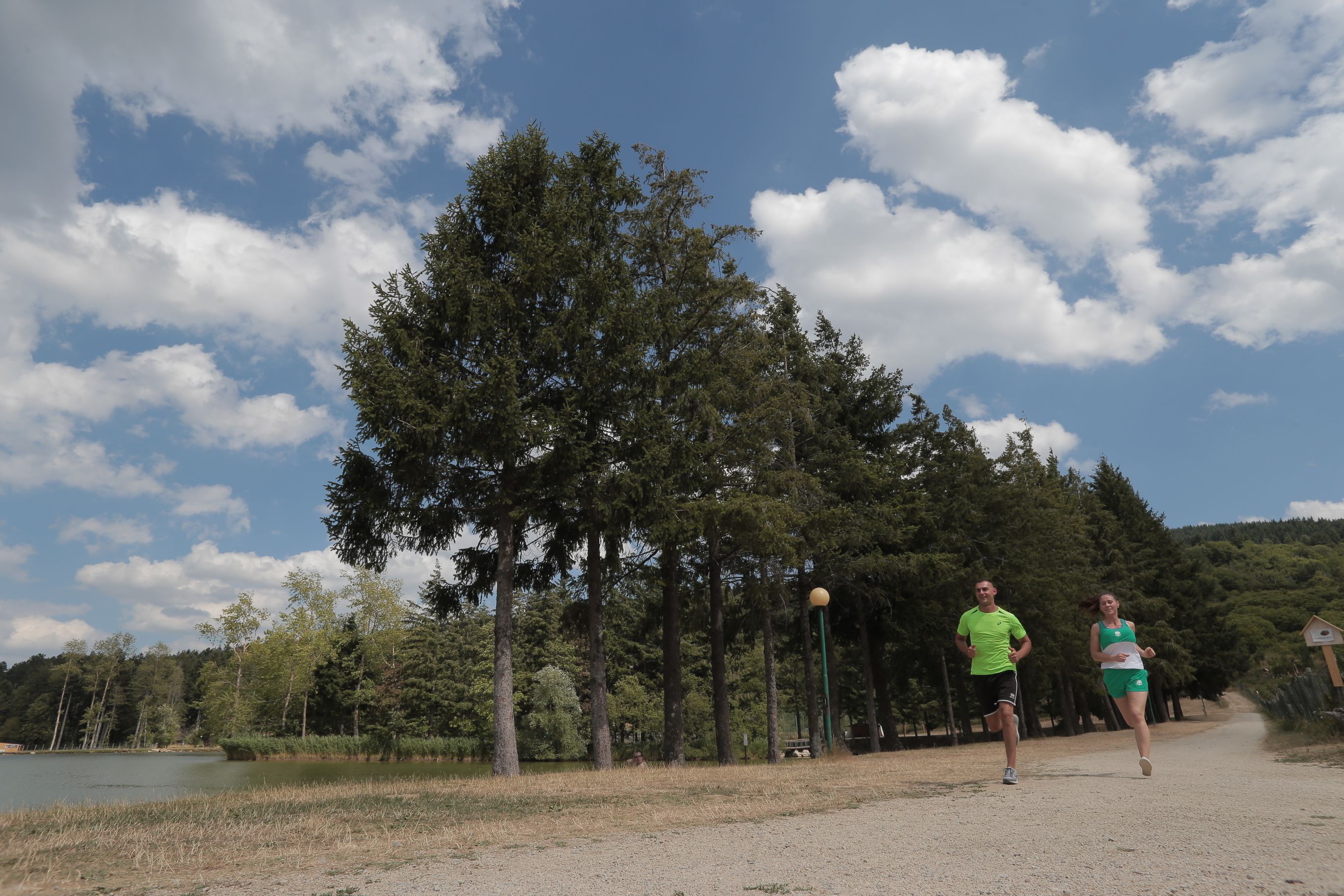 A dirt path with two people jogging, surrounded by trees and a lake.