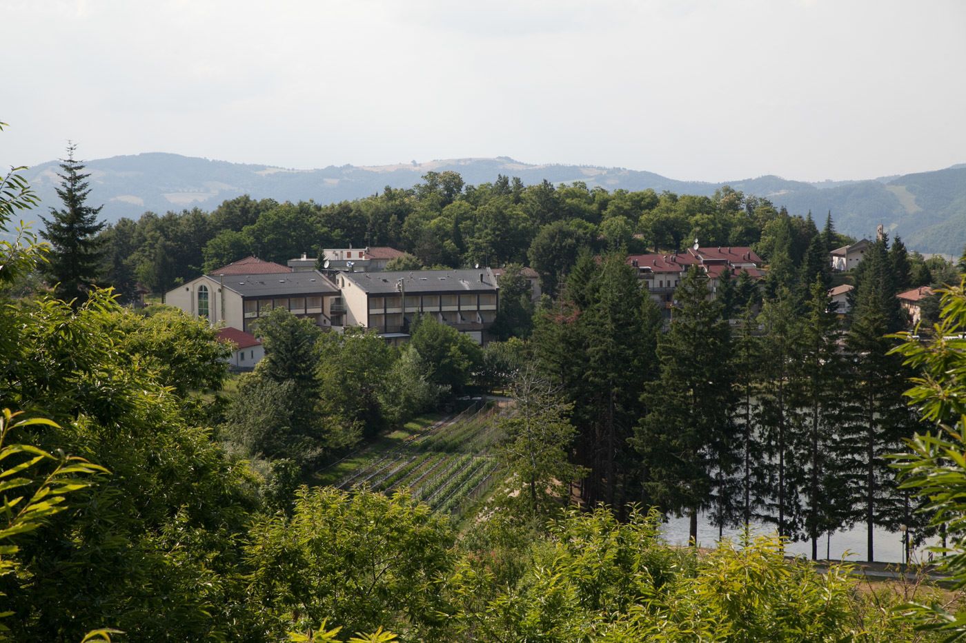 A residential area with houses surrounded by trees and hills in the background.