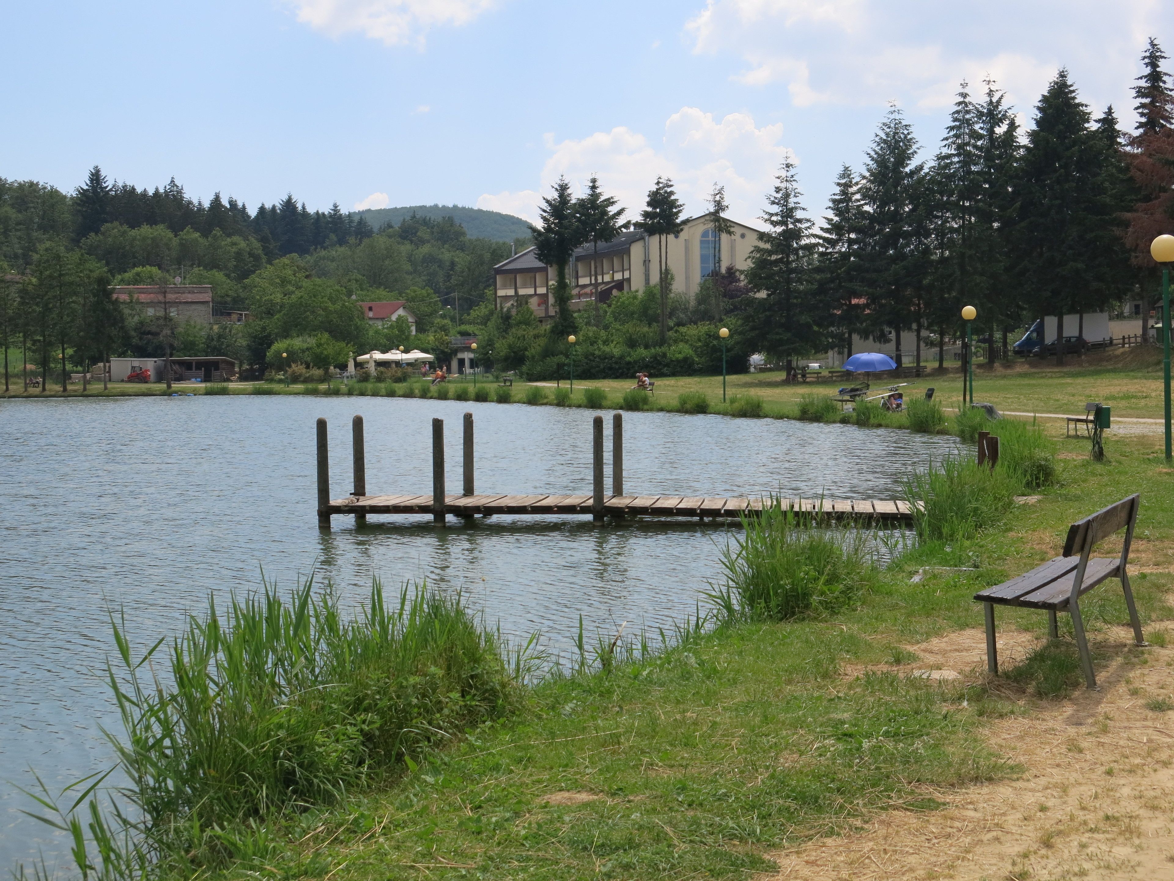 Ein Park am Seeufer mit einer hölzernen Anlegestelle, die ins Wasser führt, umgeben von Grünflächen und Bänken.