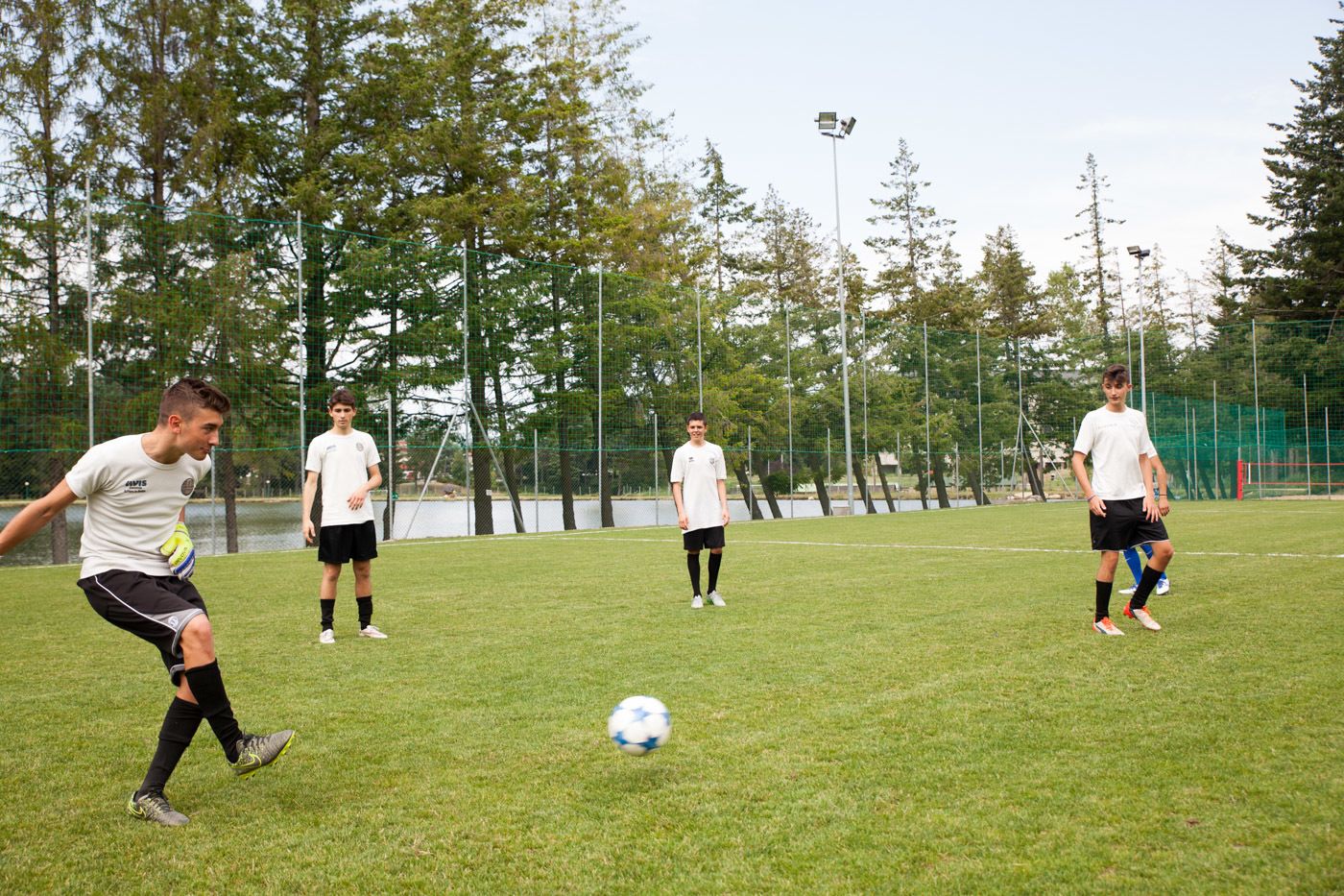 Un campo erboso con un pallone da calcio, alberi e una rete.