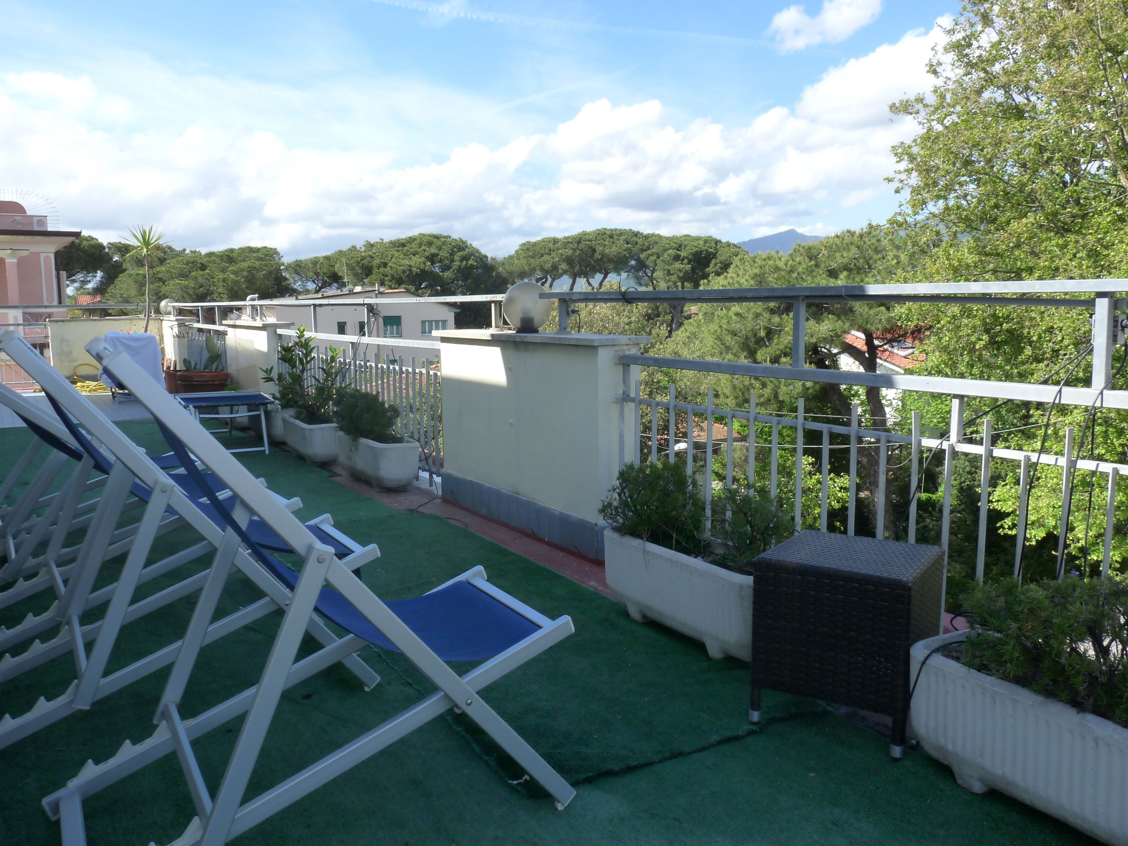Terraza en la azotea con sillones, macetas con plantas y vistas de edificios y árboles circundantes.