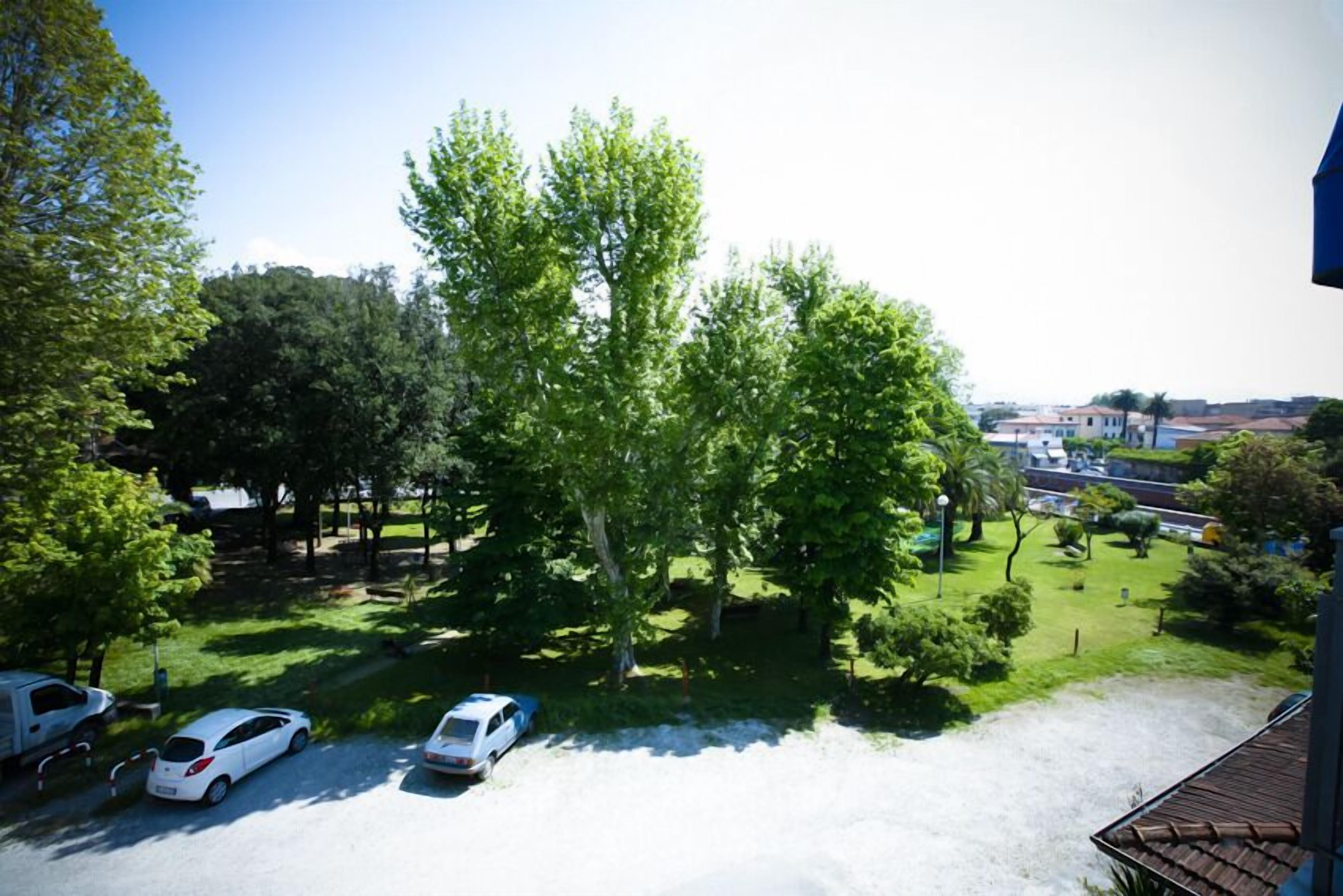 A parking area with three cars, surrounded by trees and a grassy field.