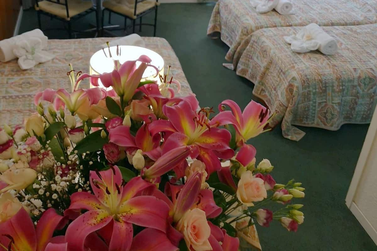 Premium bedding, soundproofing, iron/ironing board, free WiFi