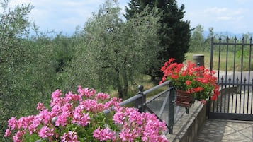 Vista desde la propiedad