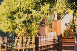 A vineyard with rows of grapevines, a metal fence, and a staircase leading up to a building.