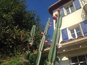 テラス / パティオ