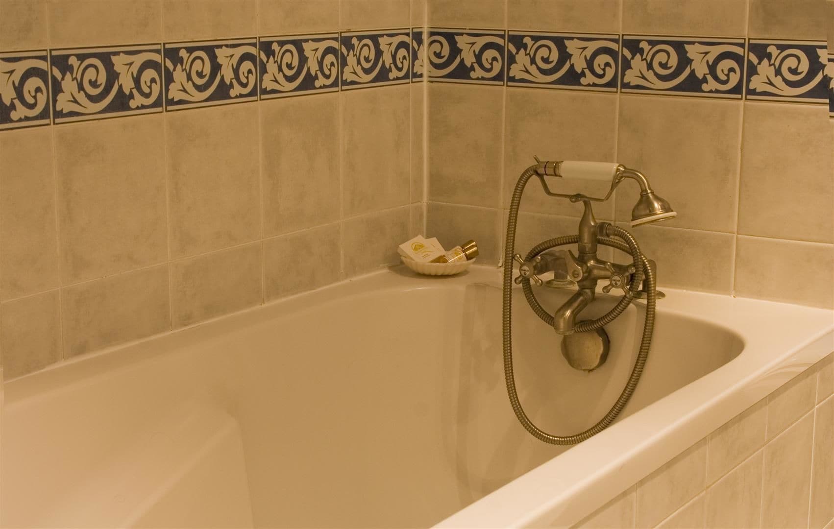 A bathtub with a handheld showerhead and a bottle of shampoo.