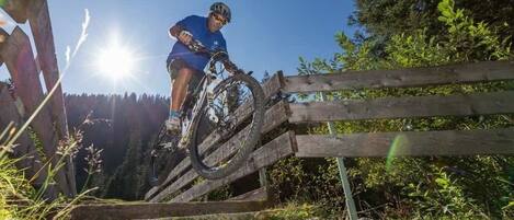 自転車