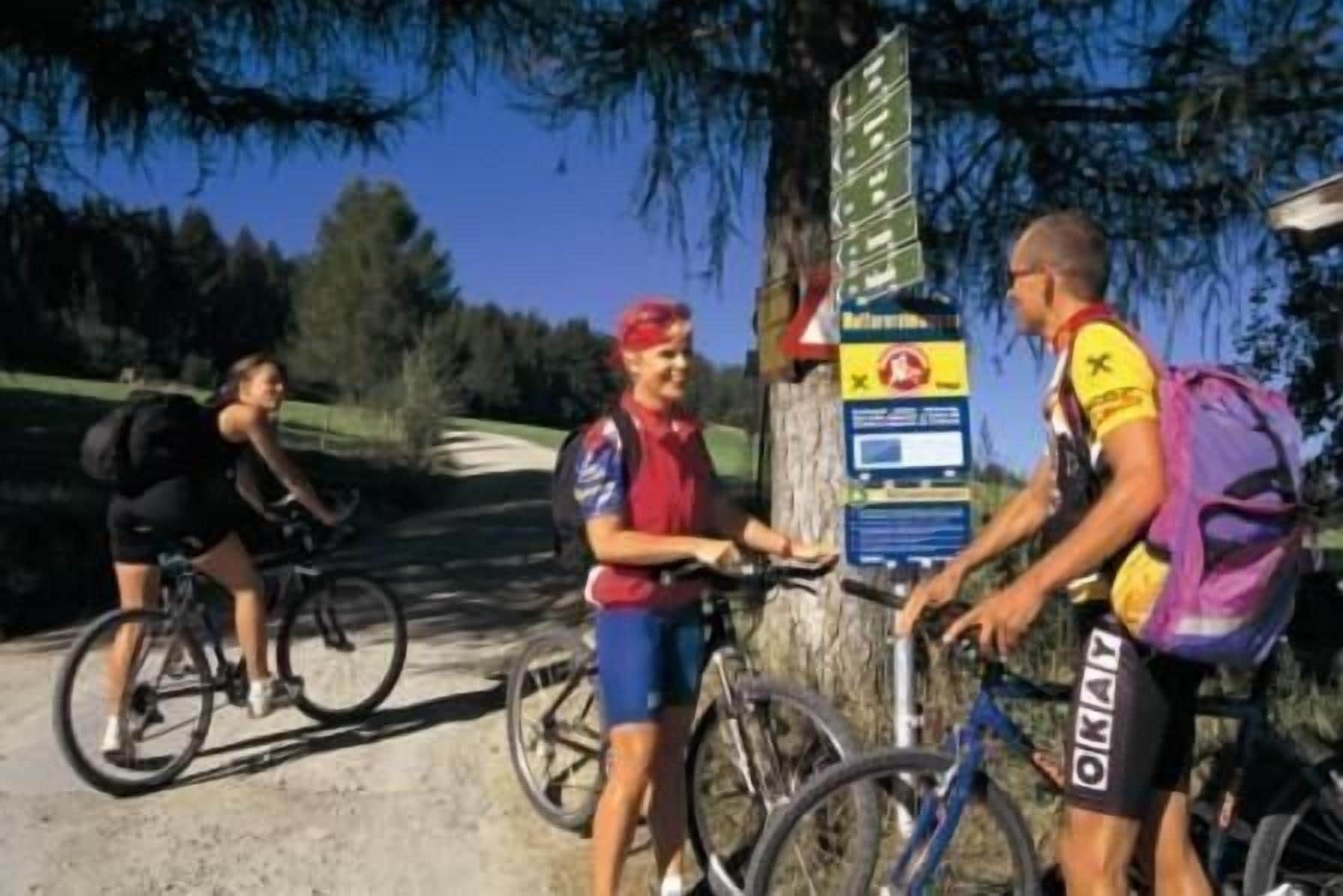 Foto - Gasthof Ölberg