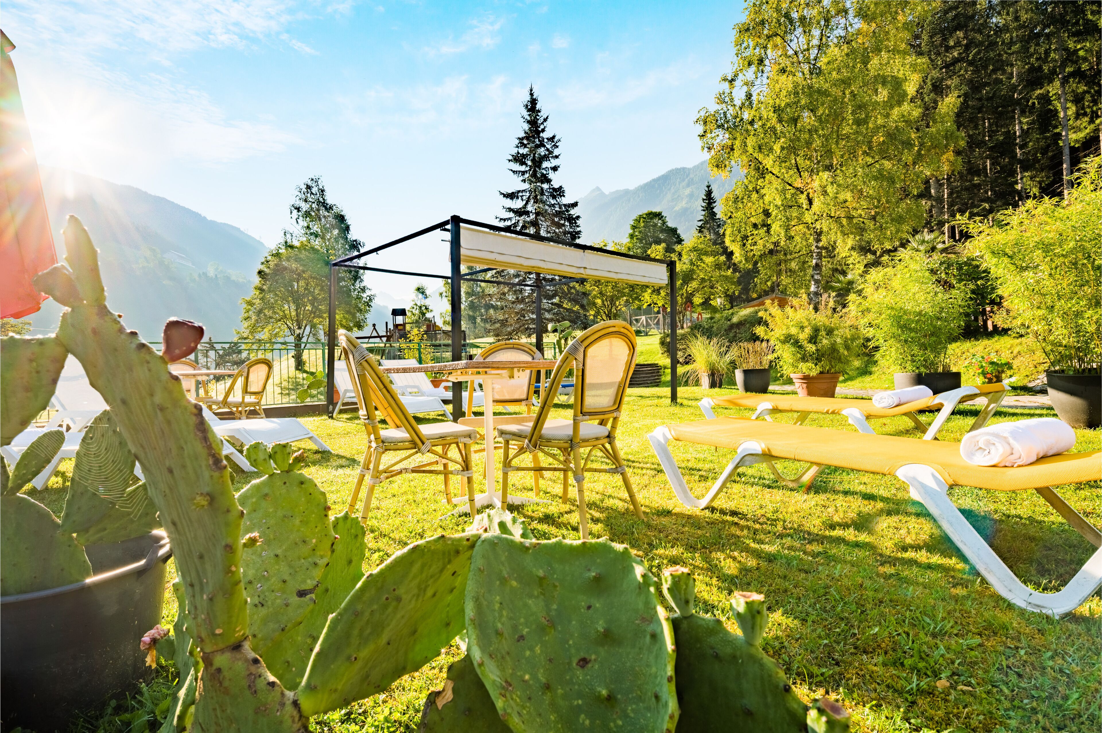 A garden with sun loungers and chairs, a pergola, and cacti.