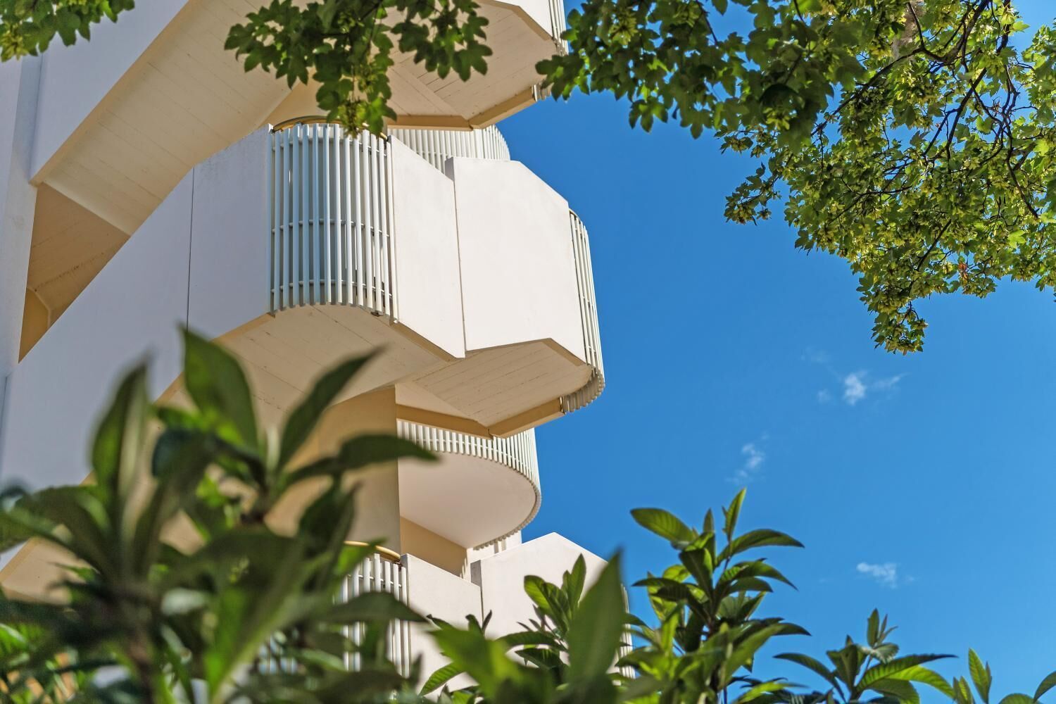 Foto - Salus Smart & Chic Hotel