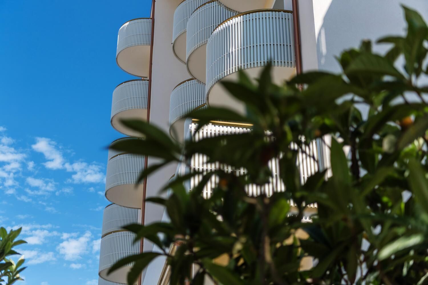 Foto - Salus Smart & Chic Hotel