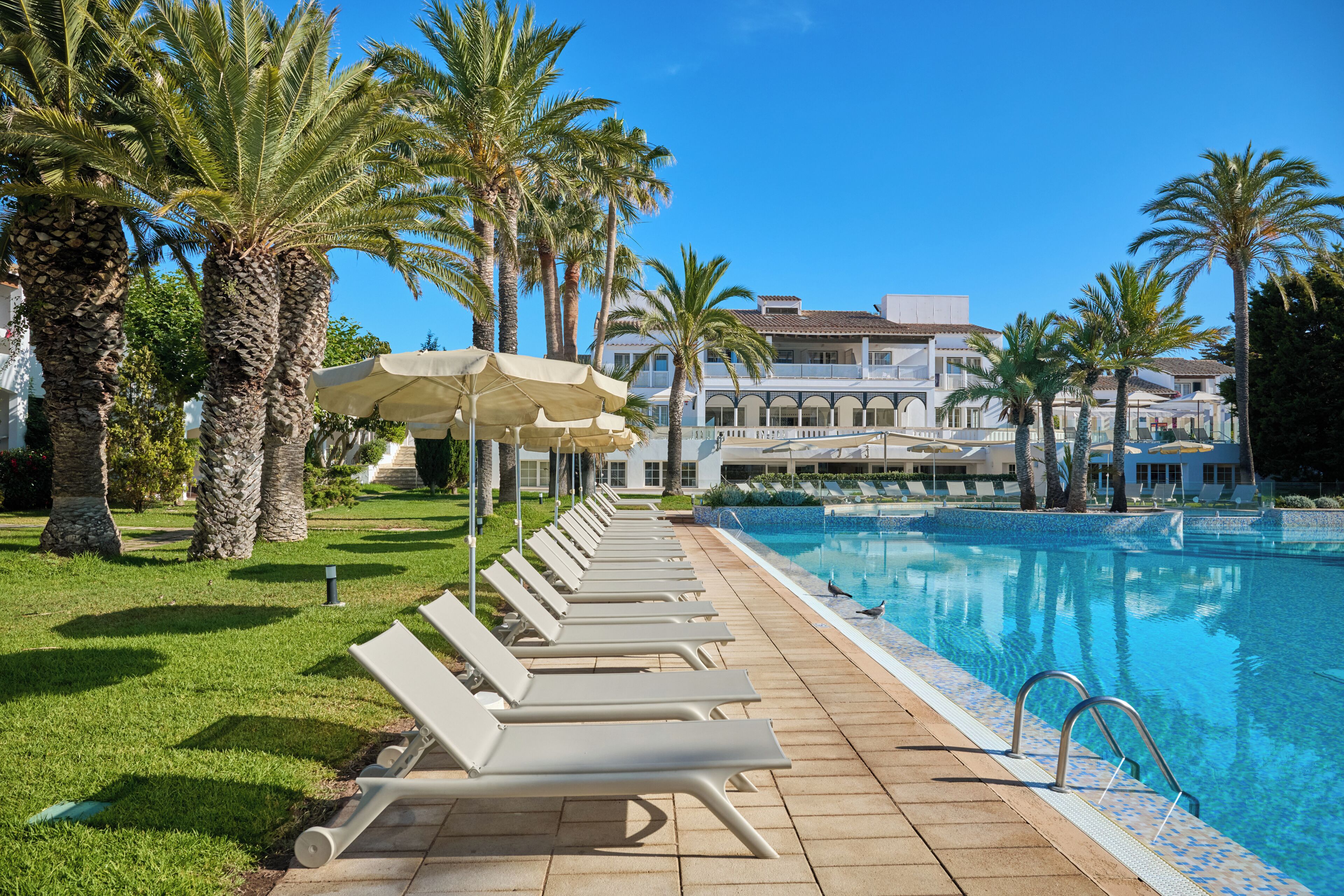 A poolside area with lounge chairs and umbrellas, palm trees, and a building in the background.