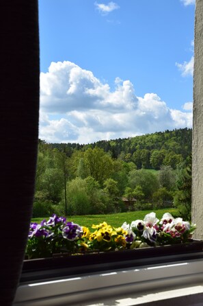 Standard Double Room, Non Smoking | View from room