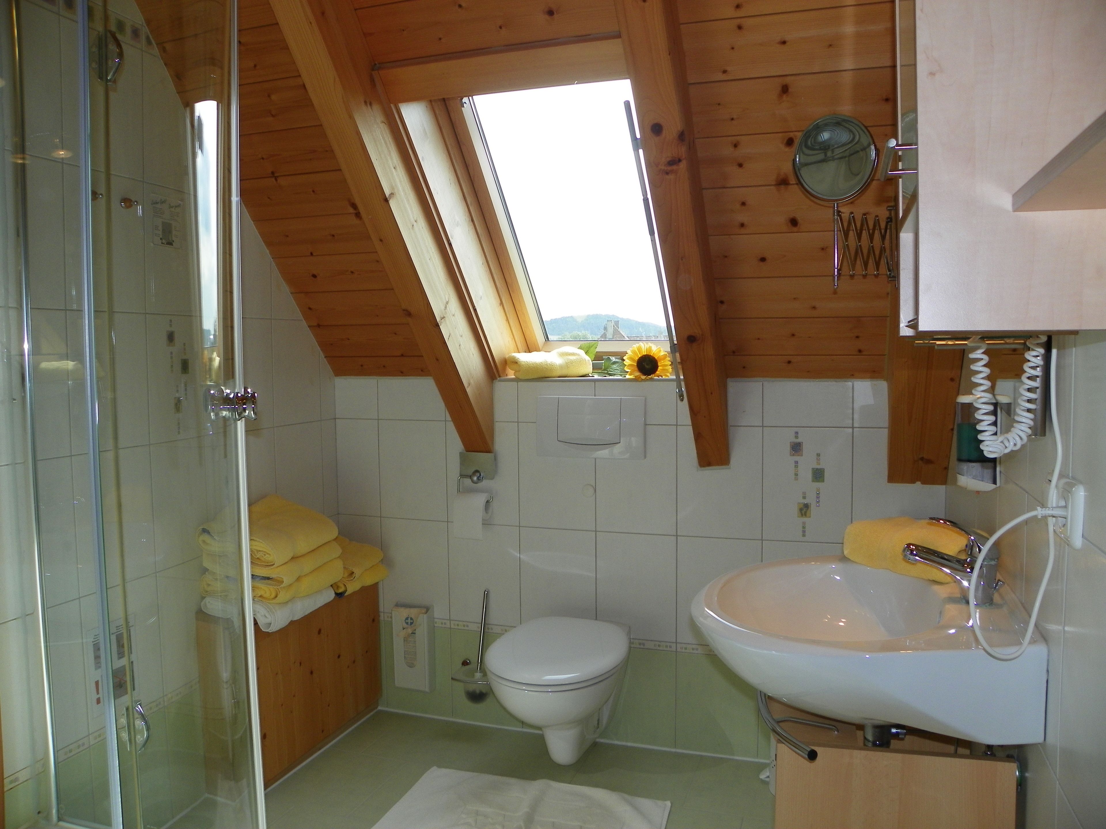 A small, compact bathroom with a skylight, a toilet, a sink, and a shower.