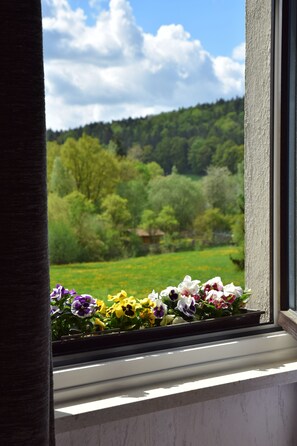 Standard Triple Room | Desk, blackout curtains, free WiFi, bed sheets - Hotel-Restaurant Steigerwaldhaus (Burghaslach)