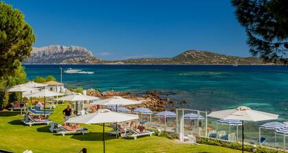 The Pelican Beach Resort & SPA - Adults Only