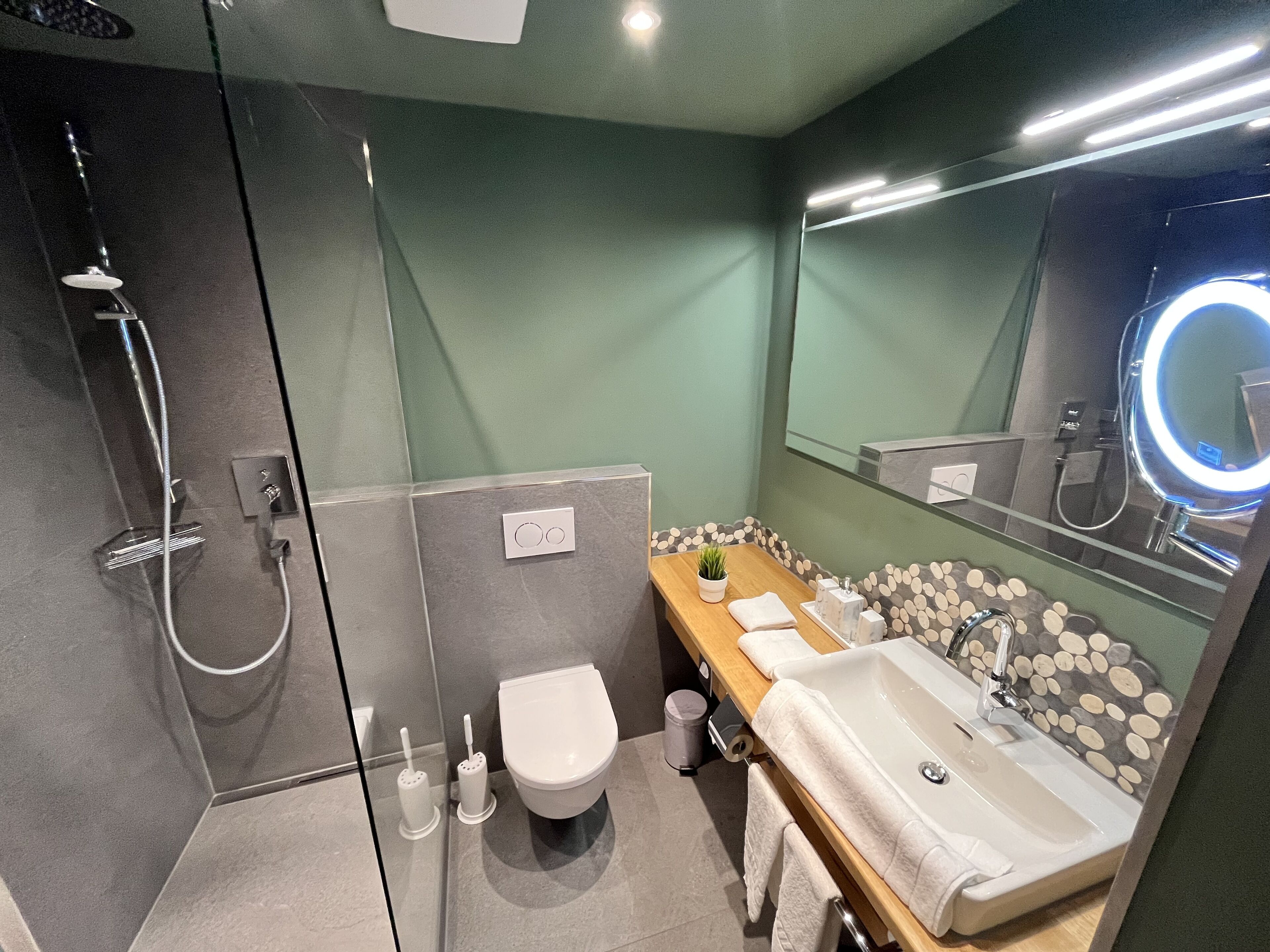 A modern bathroom with a glass shower enclosure, a toilet, a sink with a mirror, and a vanity with toiletries.