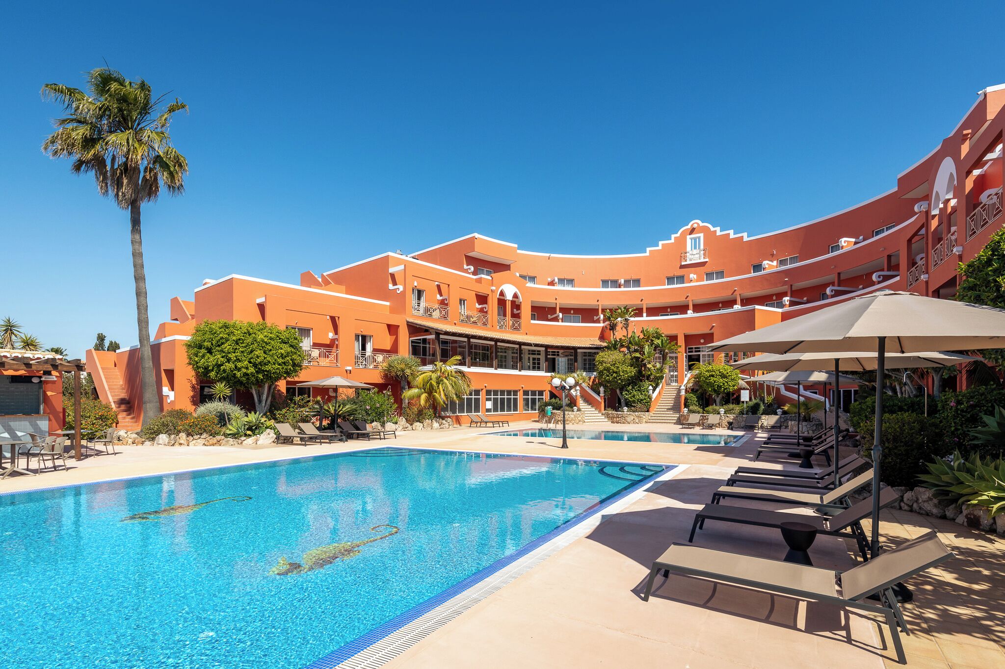 Un resort con piscina, lettini prendisole e una palma.